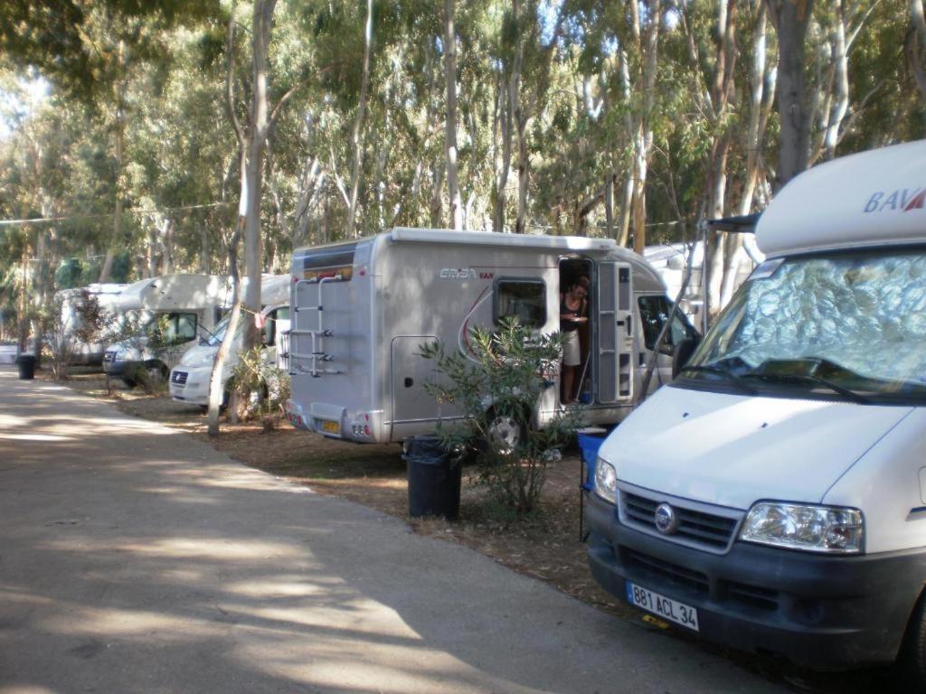 Camping Golden Sunset Alissos Eksteriør bilde